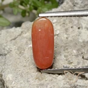Coral fogo laranja Natural 2.36ct, oval, Opaco