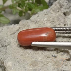 Coral Laranja Médio Natural 2.05ct, oval, Opaco