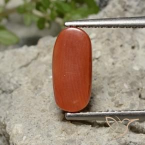 Coral Laranja Médio Natural 2.05ct, oval, Opaco