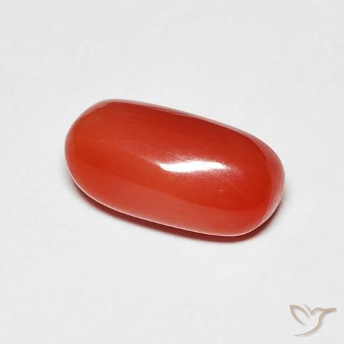 Coral vermelho médio Natural 2.11ct, oval, Opaco