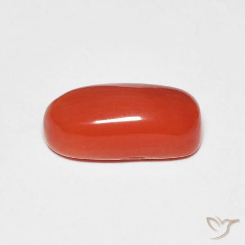 Coral vermelho médio Natural 2.11ct, oval, Opaco