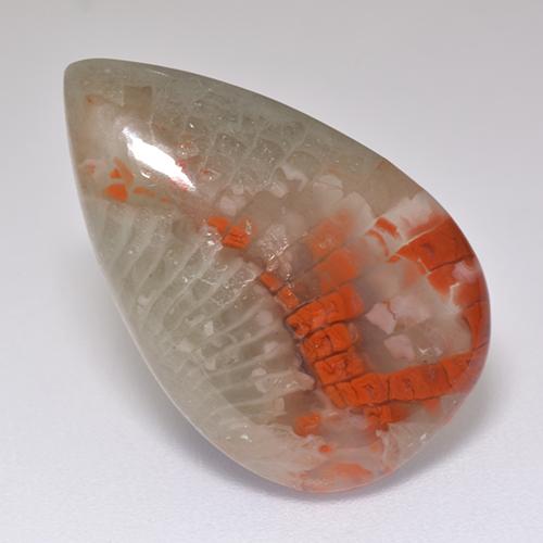 Coral multicolorido natural 8,29ct, formato de pêra, translúcido