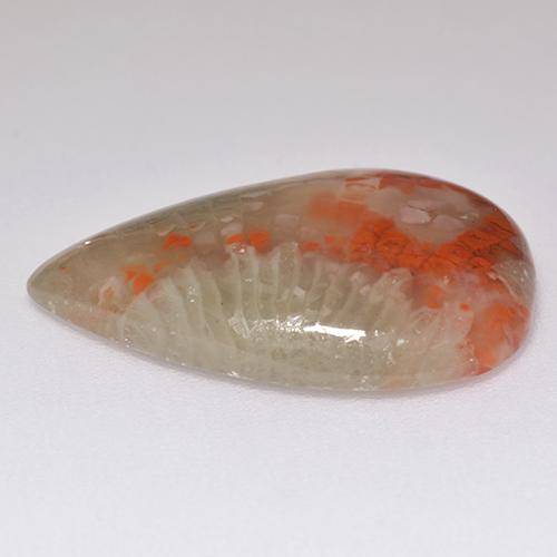 Coral multicolorido natural 8,29ct, formato de pêra, translúcido