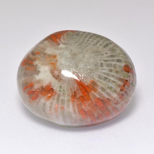 Coral multicolorido natural 13,38ct, corte oval, translúcido