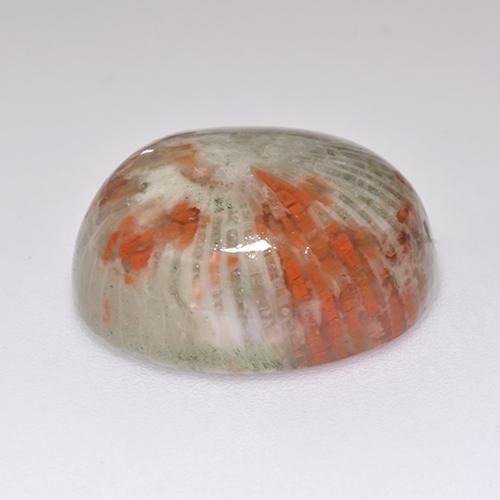Coral multicolorido natural 13,38ct, corte oval, translúcido