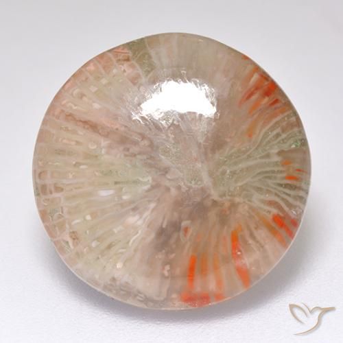 8.32ct Natural Multicolorido Coral, Redondo, Translúcido