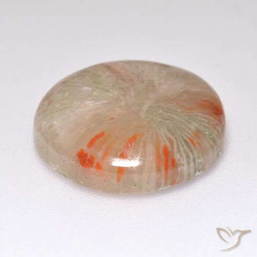Coral Multicolorido Natural 8.32ct, Redondo, Translúcido