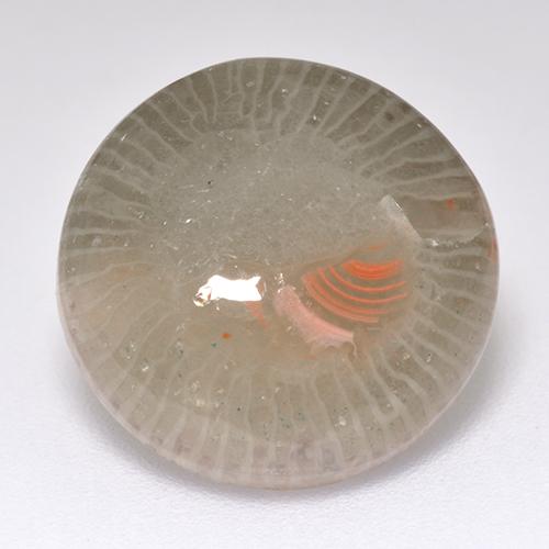 Coral multicolorido natural 7,11ct, corte redondo, translúcido