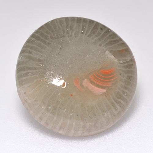Coral multicolorido natural 7,11ct, corte redondo, translúcido
