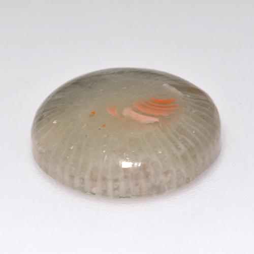 Coral multicolorido natural 7,11ct, corte redondo, translúcido