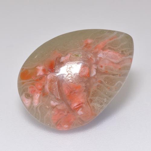 Coral multicolorido natural 5,97ct, formato de pêra, translúcido