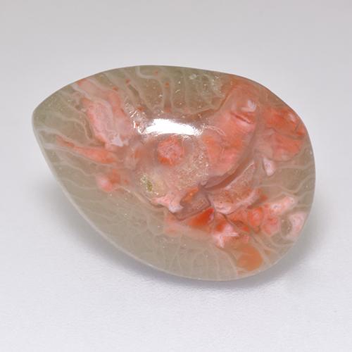 Coral multicolorido natural 5,97ct, formato de pêra, translúcido