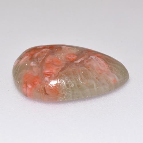 Coral multicolorido natural 5,97ct, formato de pêra, translúcido