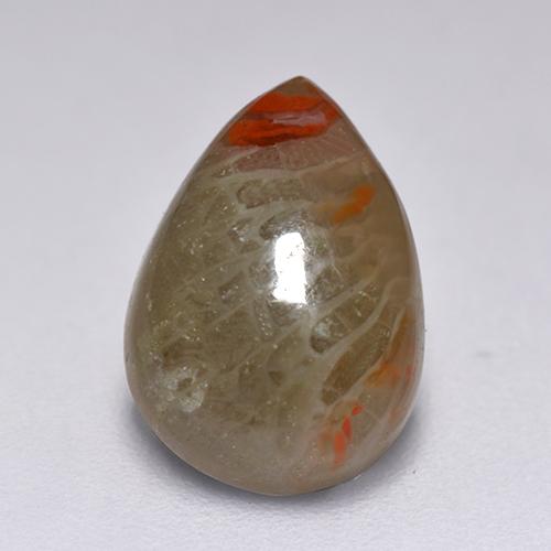 Coral multicolorido natural 2,23ct, formato de pêra, translúcido