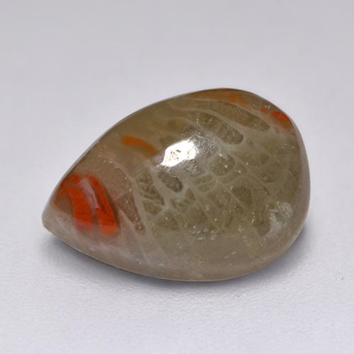 Coral multicolorido natural 2,23ct, formato de pêra, translúcido