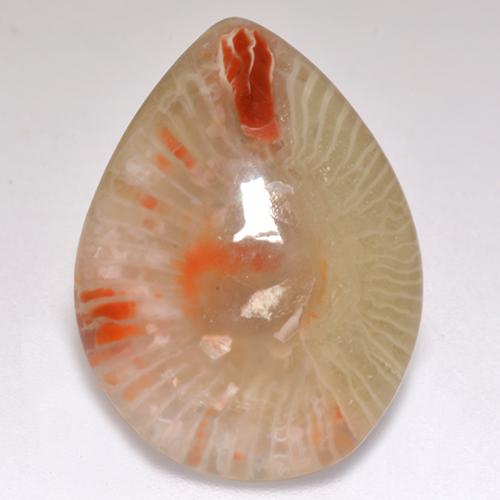 Coral multicolorido natural 9,83ct, formato de pêra, translúcido