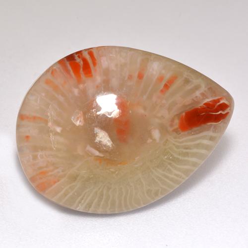 Coral multicolorido natural 9,83ct, formato de pêra, translúcido