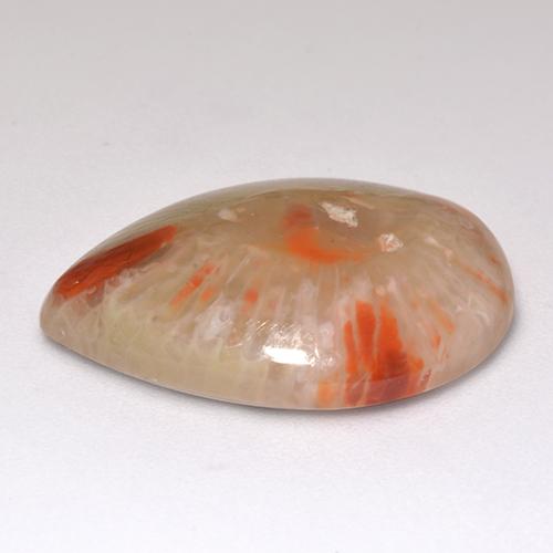 Coral multicolorido natural 9,83ct, formato de pêra, translúcido