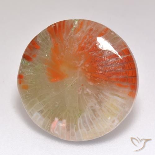 Coral Multicolorido Natural 9.29ct, Redondo, Translúcido