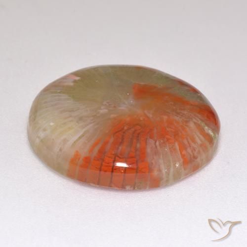Coral Multicolorido Natural 9.29ct, Redondo, Translúcido
