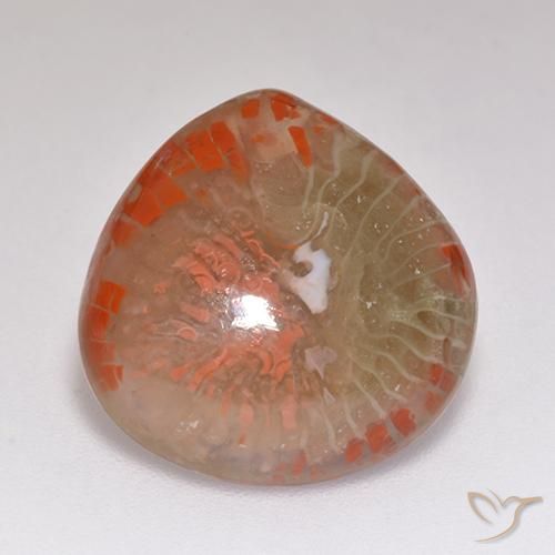9.67ct Natural Multicolorido Coral, Formato de pêra, Translúcido