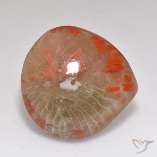 Coral Multicolorido Natural 9.67ct, Formato de pêra, Translúcido