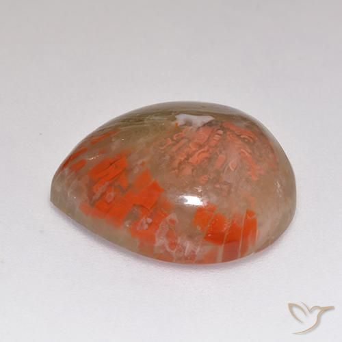 Coral Multicolorido Natural 9.67ct, Formato de pêra, Translúcido