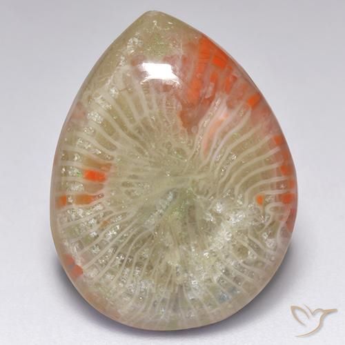 Coral multicolorido natural 9,84ct, formato de pêra, translúcido