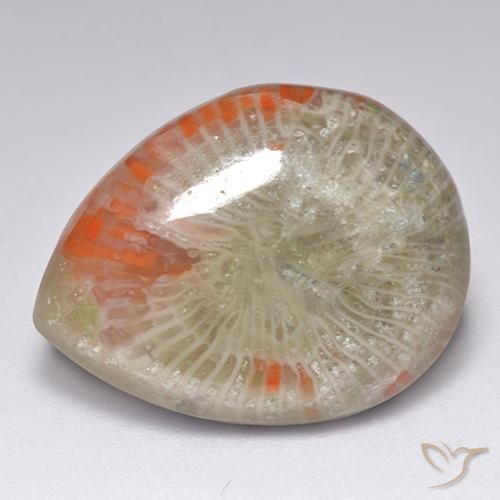 Coral multicolorido natural 9,84ct, formato de pêra, translúcido
