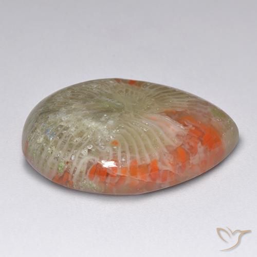 Coral multicolorido natural 9,84ct, formato de pêra, translúcido