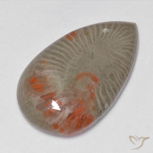 15.23ct Natural Multicolorido Coral, Formato de pêra, Translúcido