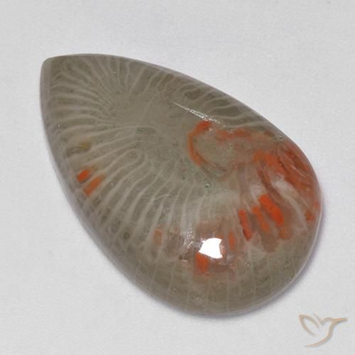 Coral Multicolorido Natural 15.23ct, Formato de pêra, Translúcido