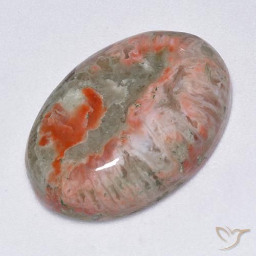 Coral Multicolorido Natural 13.71ct, oval, Translúcido