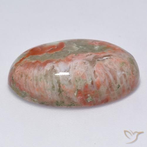 Coral Multicolorido Natural 13.71ct, oval, Translúcido