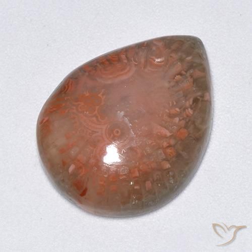 9.51ct Natural Multicolorido Coral, Formato de pêra, Translúcido
