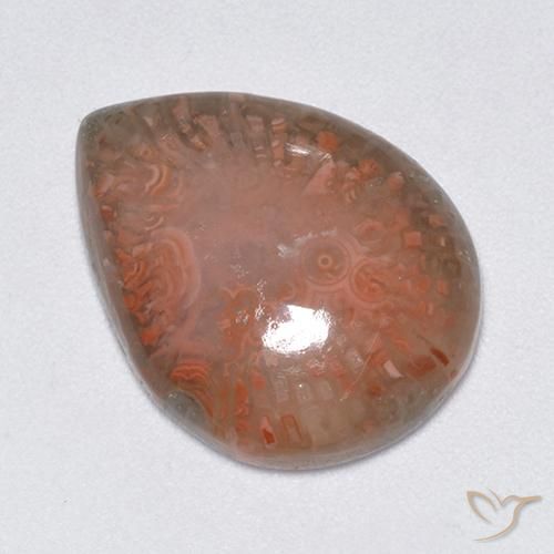 Coral Multicolorido Natural 9.51ct, Formato de pêra, Translúcido