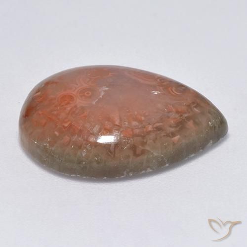 Coral Multicolorido Natural 9.51ct, Formato de pêra, Translúcido