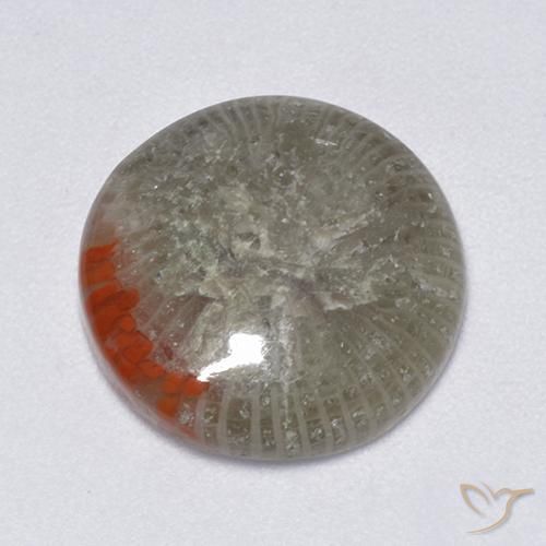 Coral Multicolorido Natural 6.25ct, Redondo, Translúcido