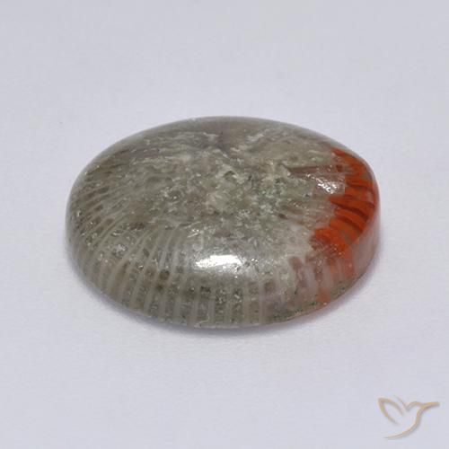 Coral Multicolorido Natural 6.25ct, Redondo, Translúcido