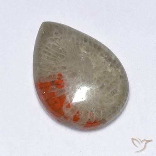 10.40ct Natural Multicolorido Coral, Formato de pêra, Translúcido