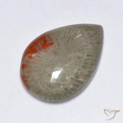 Coral Multicolorido Natural 10.40ct, Formato de pêra, Translúcido