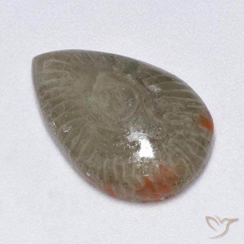 Coral Multicolorido Natural 5.79ct, Formato de pêra, Translúcido