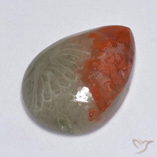 8.14ct Natural Multicolorido Coral, Formato de pêra, Translúcido