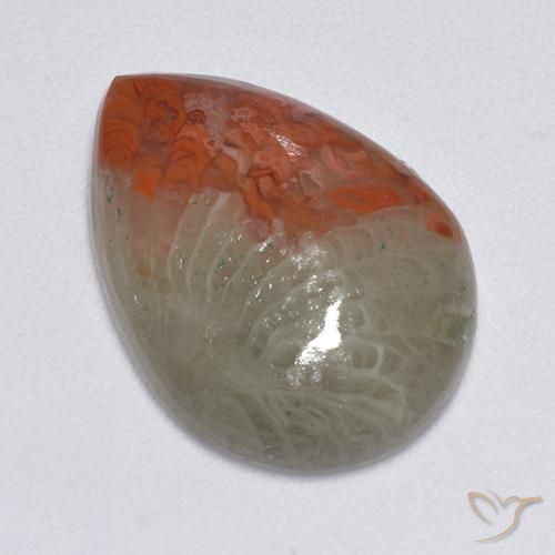 Coral Multicolorido Natural 8.14ct, Formato de pêra, Translúcido