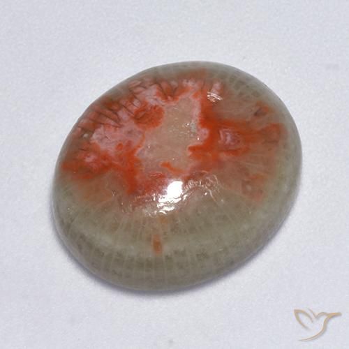 7.75ct Natural Multicolorido Coral, oval, Translúcido