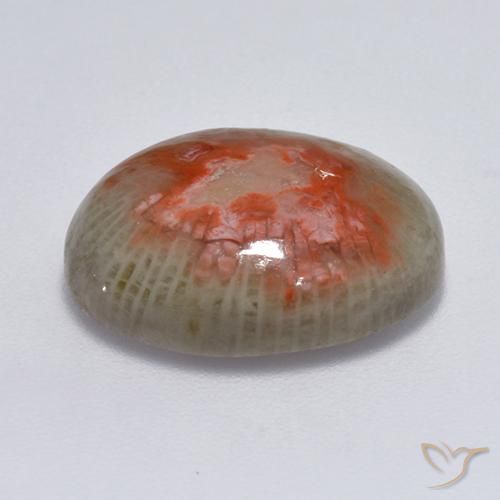 Coral Multicolorido Natural 7.75ct, oval, Translúcido