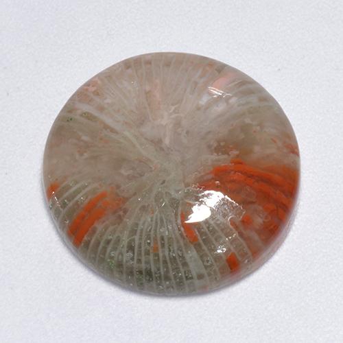 Coral multicolorido natural 9,25ct, corte redondo, translúcido