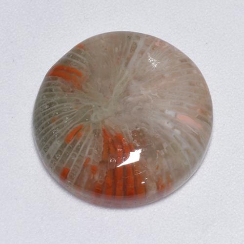 Coral multicolorido natural 9,25ct, corte redondo, translúcido
