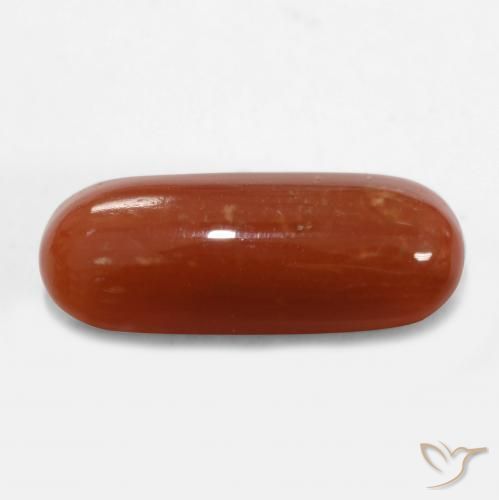 Coral Fogo vermelho Natural 2.47ct, oval, Opaco
