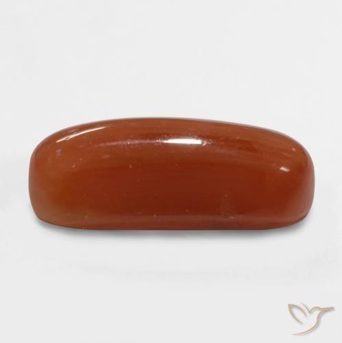 Coral Fogo vermelho Natural 2.47ct, oval, Opaco